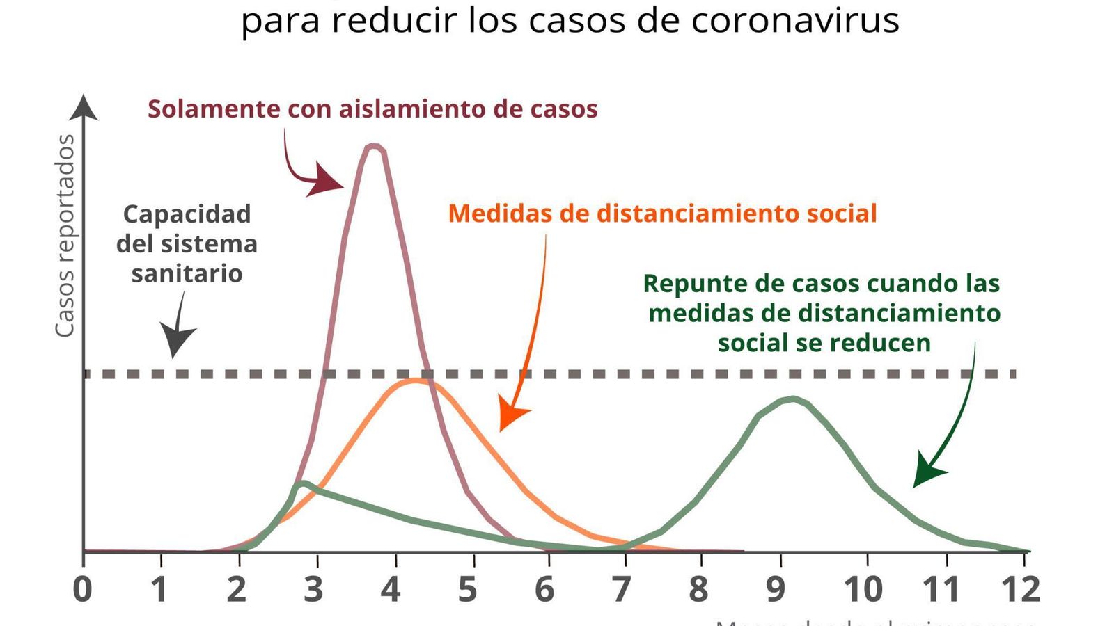 Impacto de medidas sanitarias en la evolución
