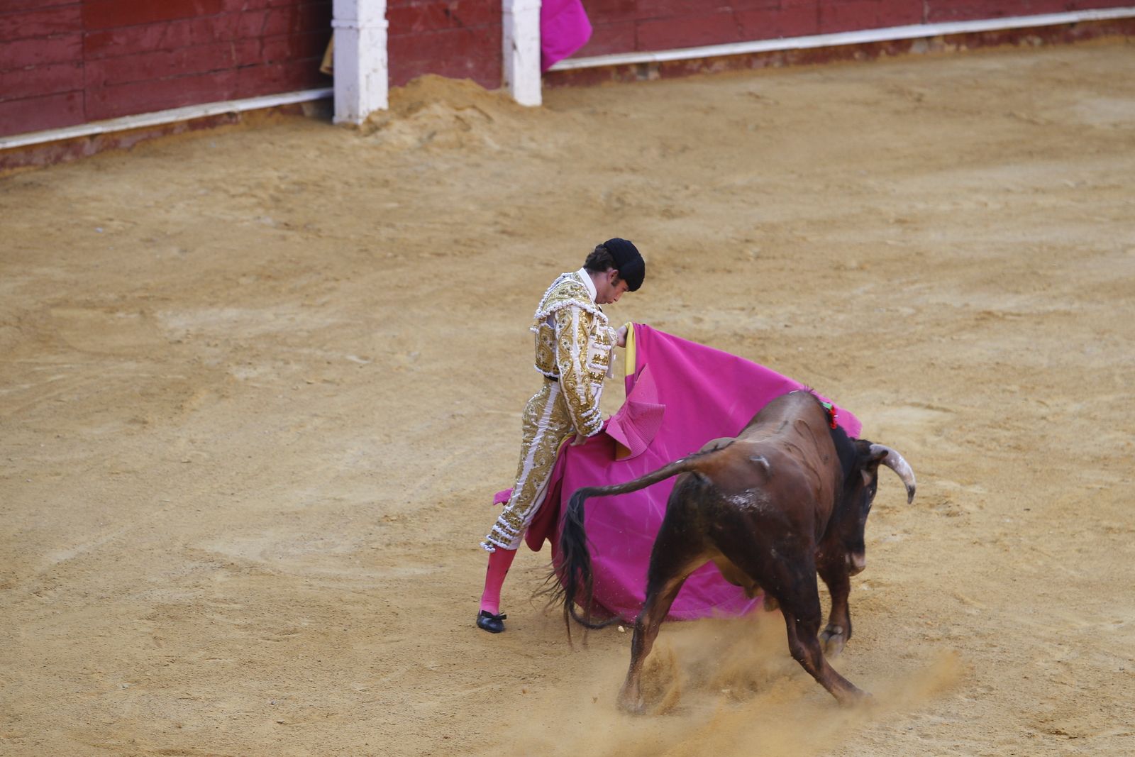 Fotogalería novillada Escuela Taurina de Almería. Feria de Almería 2019