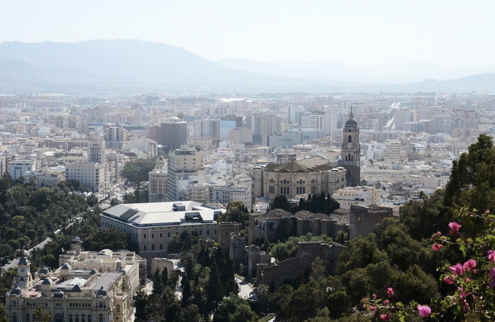 Las fotos del tejado a dos aguas para proteger la Catedral de Málaga