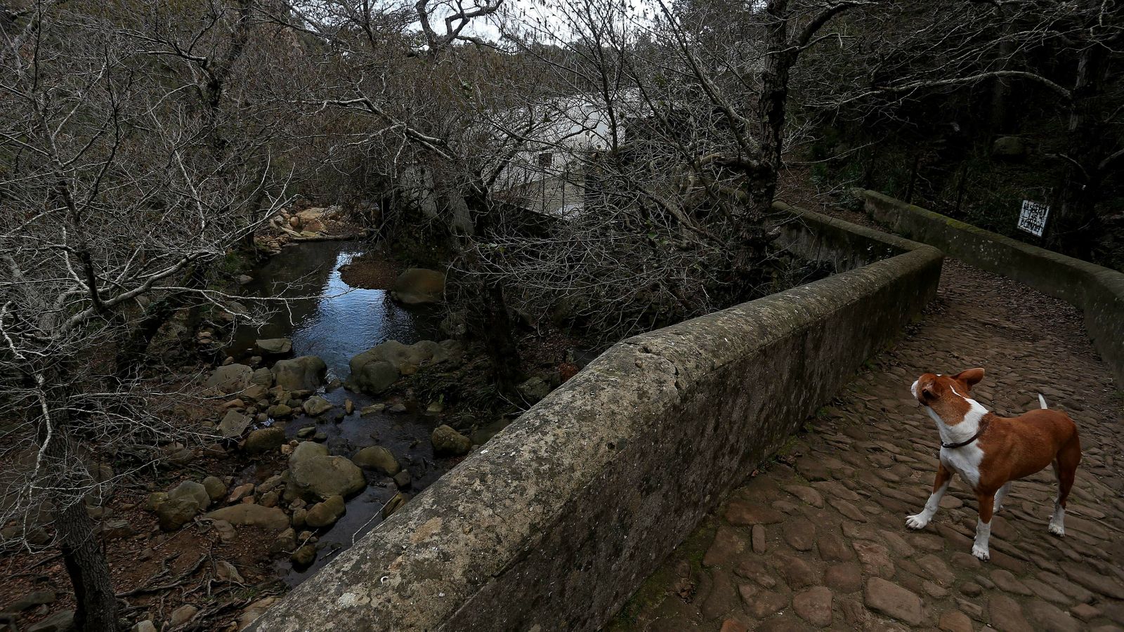 Las mejores fotos del sendero del Río de la Miel