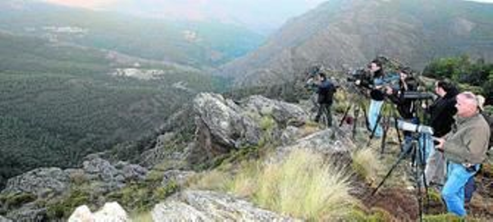 Periodistas y cámaras se afanan en conseguir recursos gráficos y sonoros de la berrea en un risco de la Sierra de Filabres.