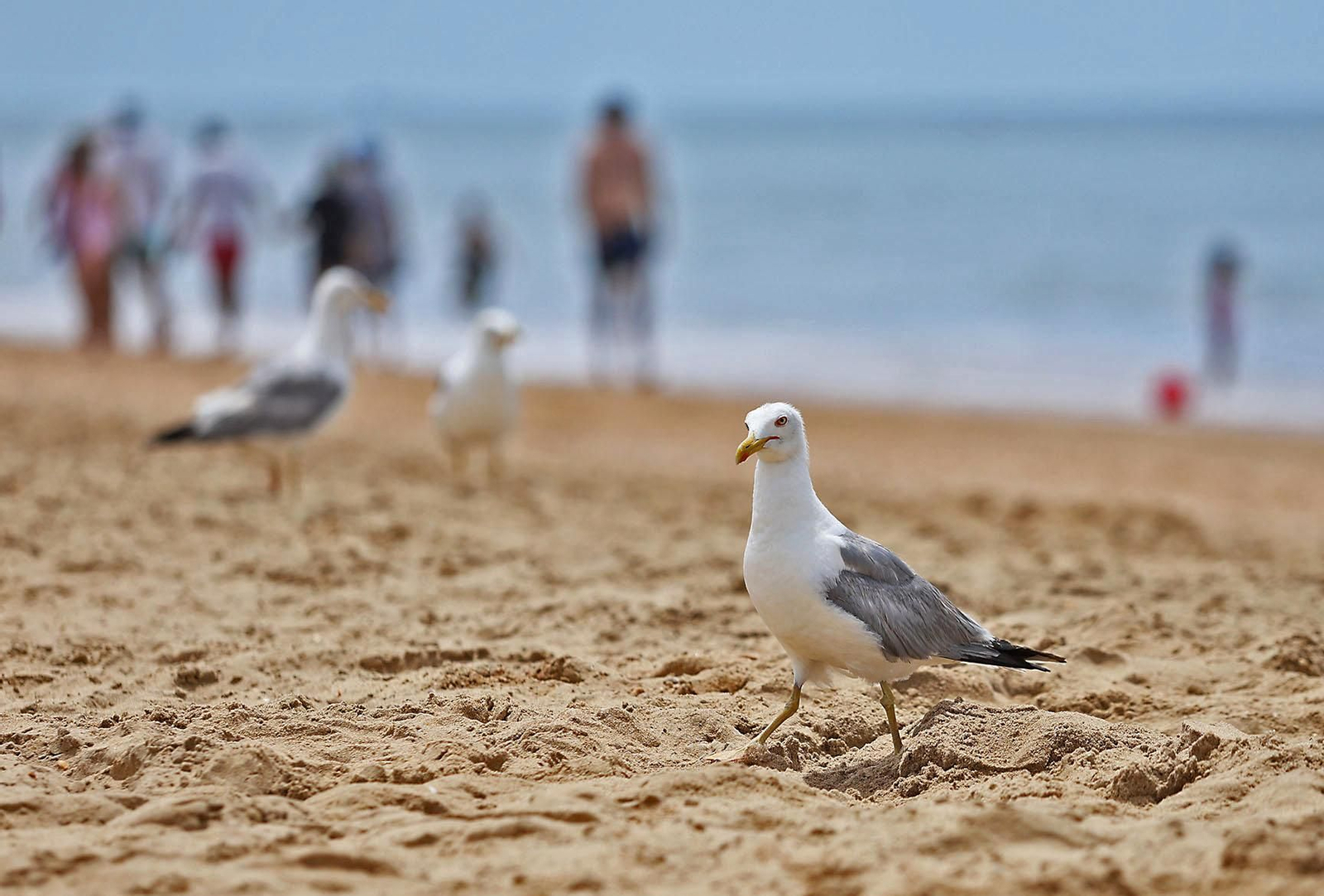 Ambiente en las playas de Huelva el último domingo de junio (11).JPG