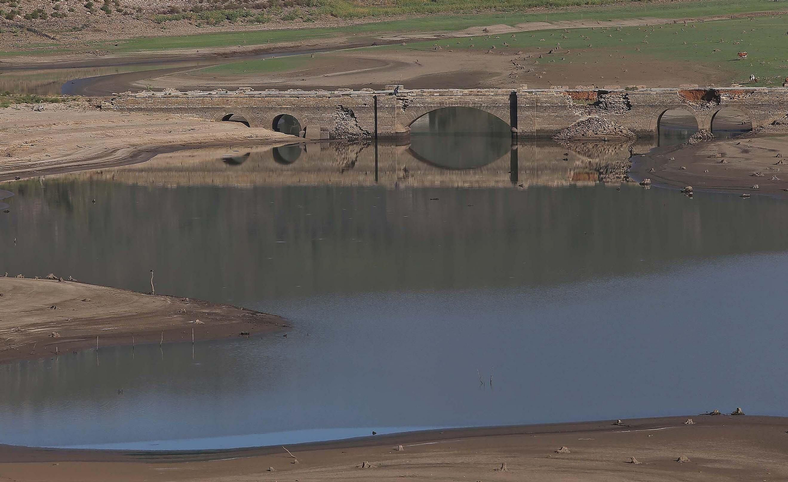 Imágenes del pantano de Charco Redondo en Los Barrios