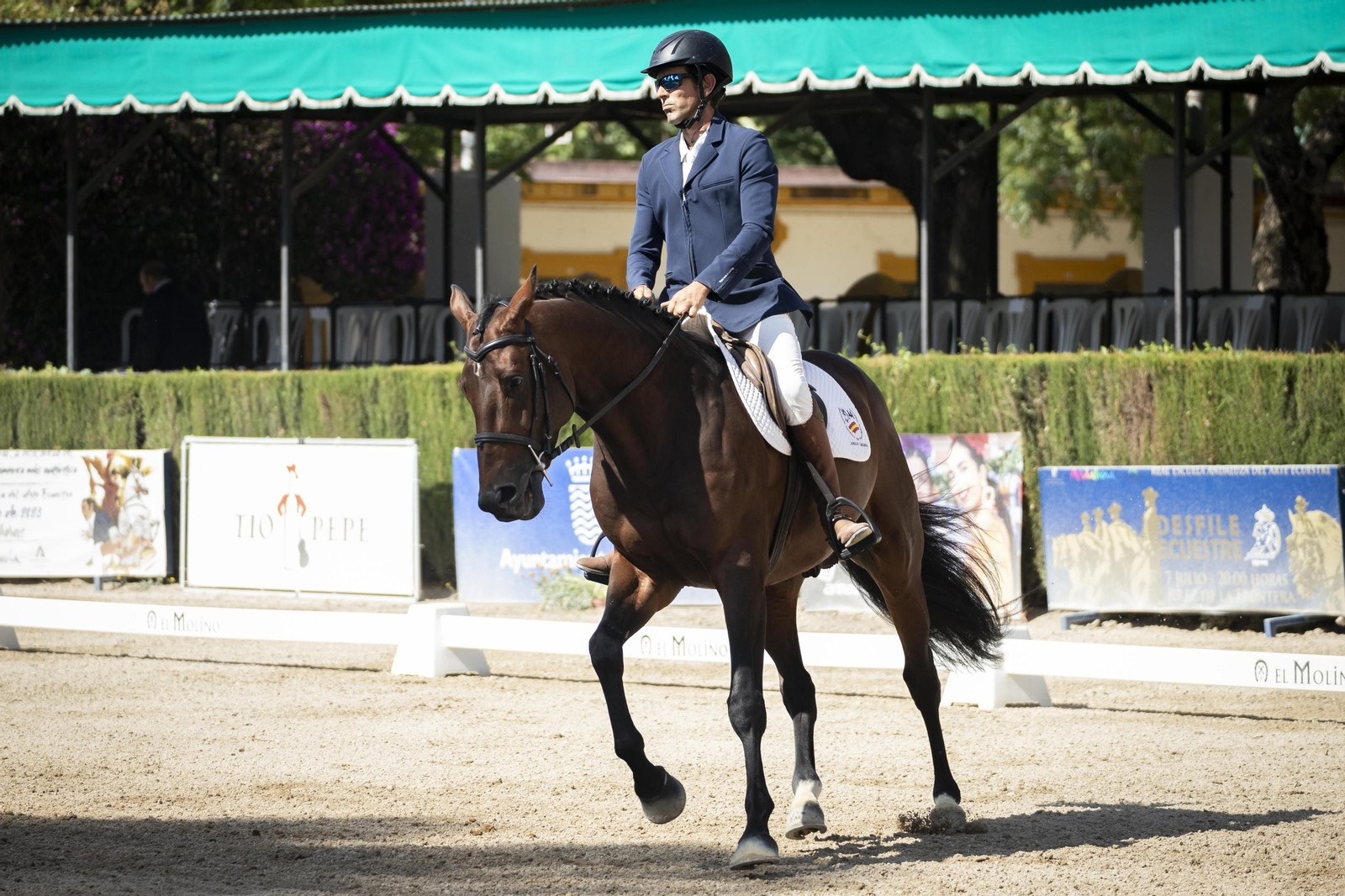 El concurso Campeón de Campeones en el Depósito de Sementales de Jerez