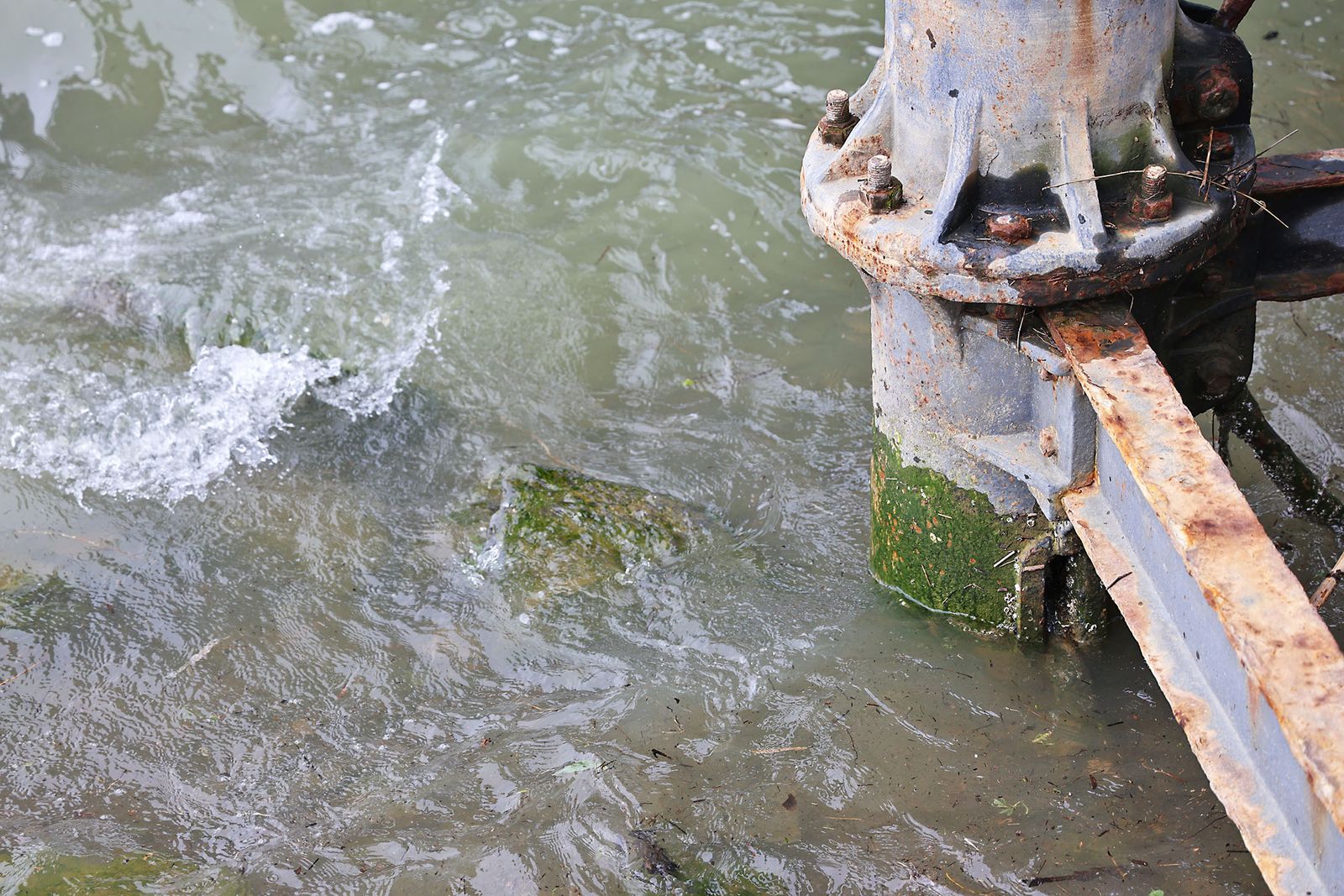 Las imágenes más destacadas del jueves 13 de marzo en Huelva