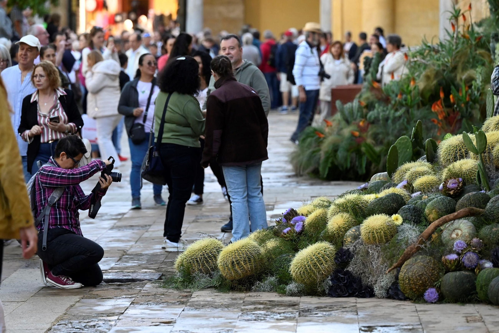 Las mejores fotos del Festival Flora 2024 de Córdoba
