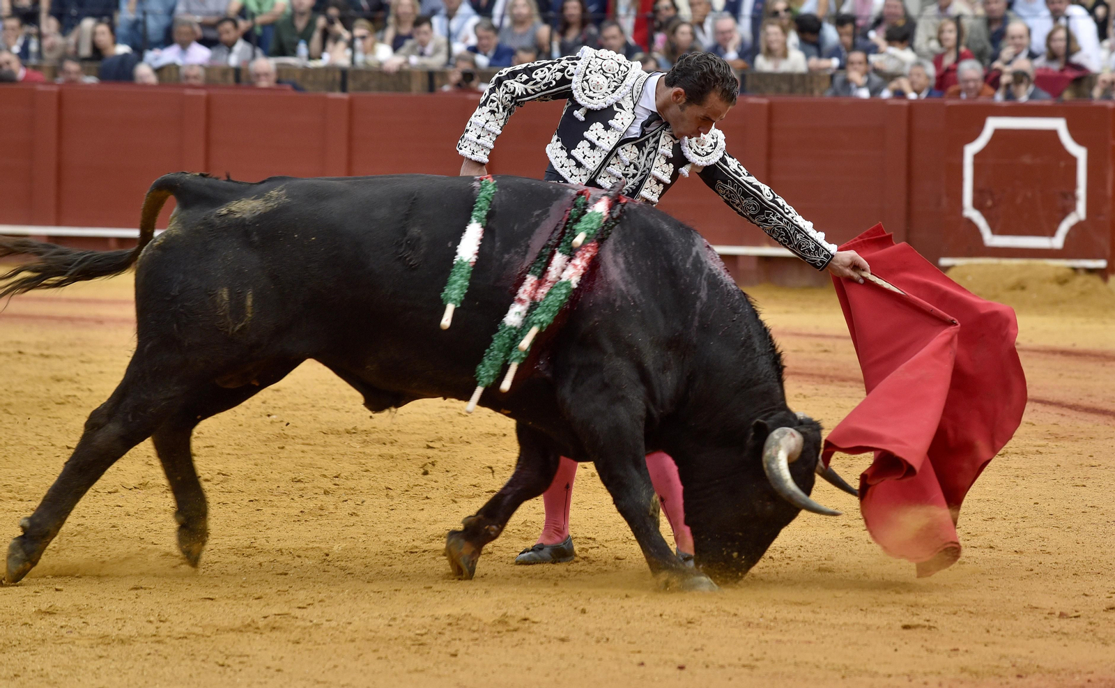 Las imágenes de la 14ª de abono de la Maestranza