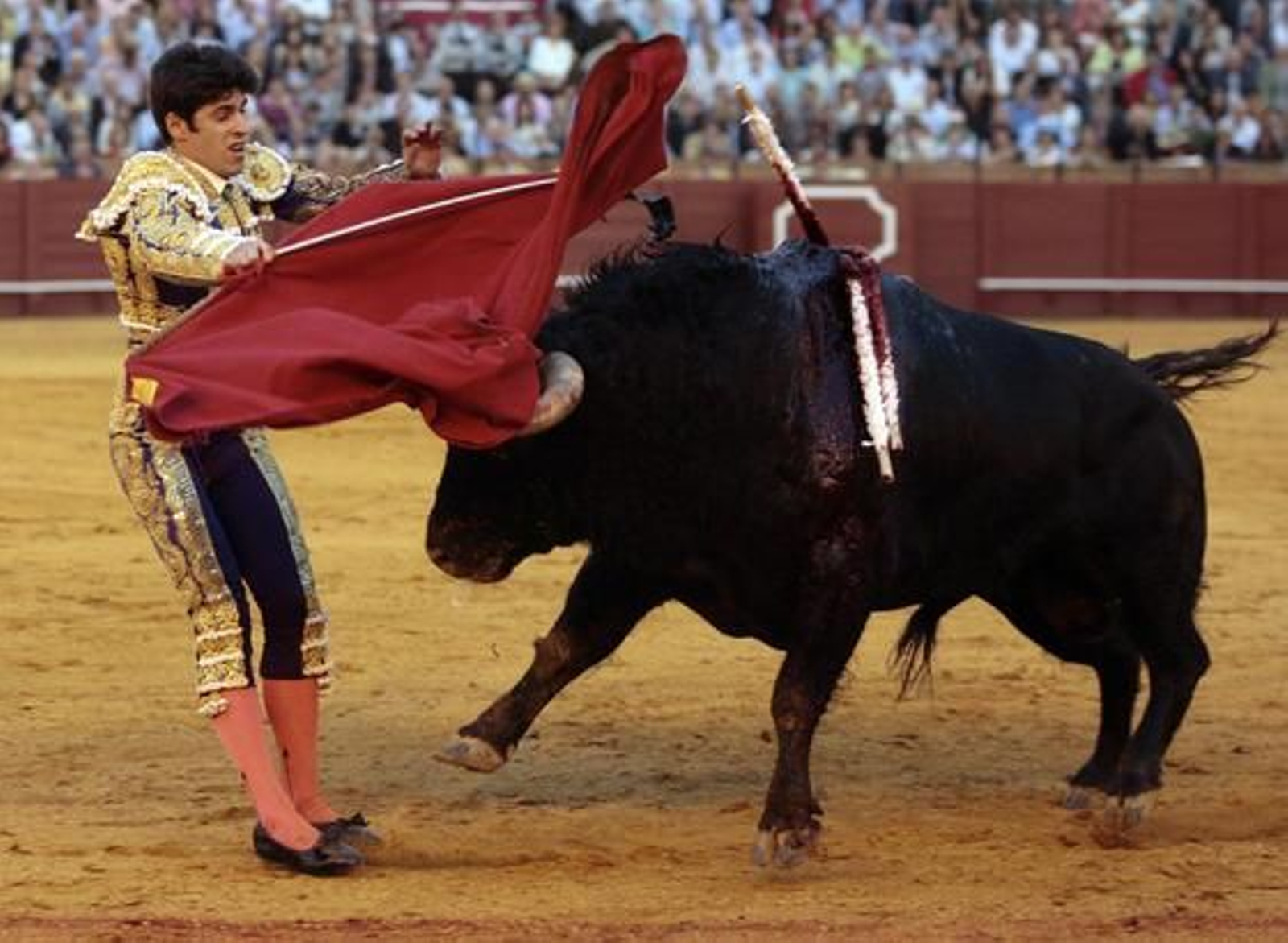 Talavante cierra la decimotercera tarde en la Maestranza.

Foto: Juan Carlos Muñoz