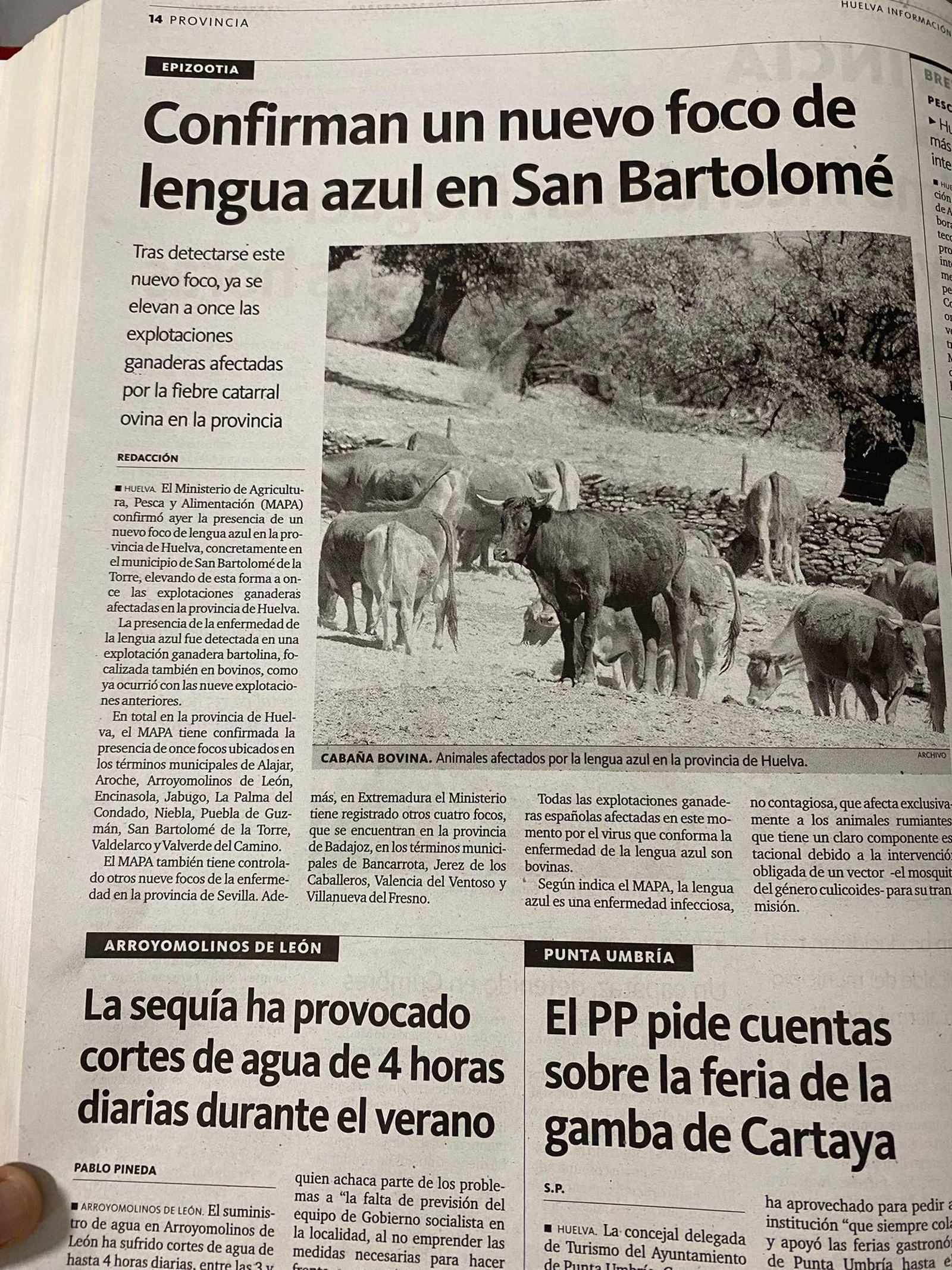 Noticia sobre un nuevo foco de lengua azul en Huelva en 2005