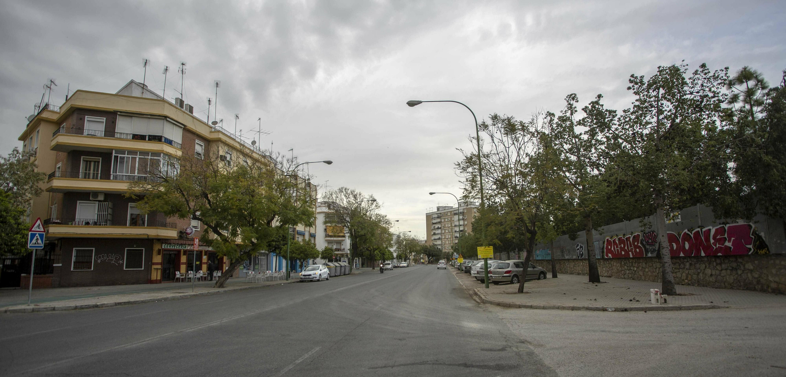 El papel del arbolado en Sevilla, clave para desafiar el cambio climático