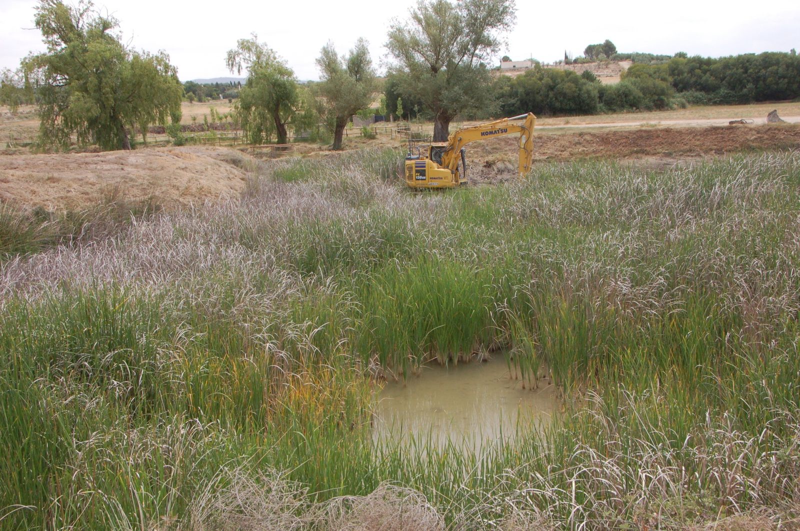 Imagen de la actuación en el manantial.