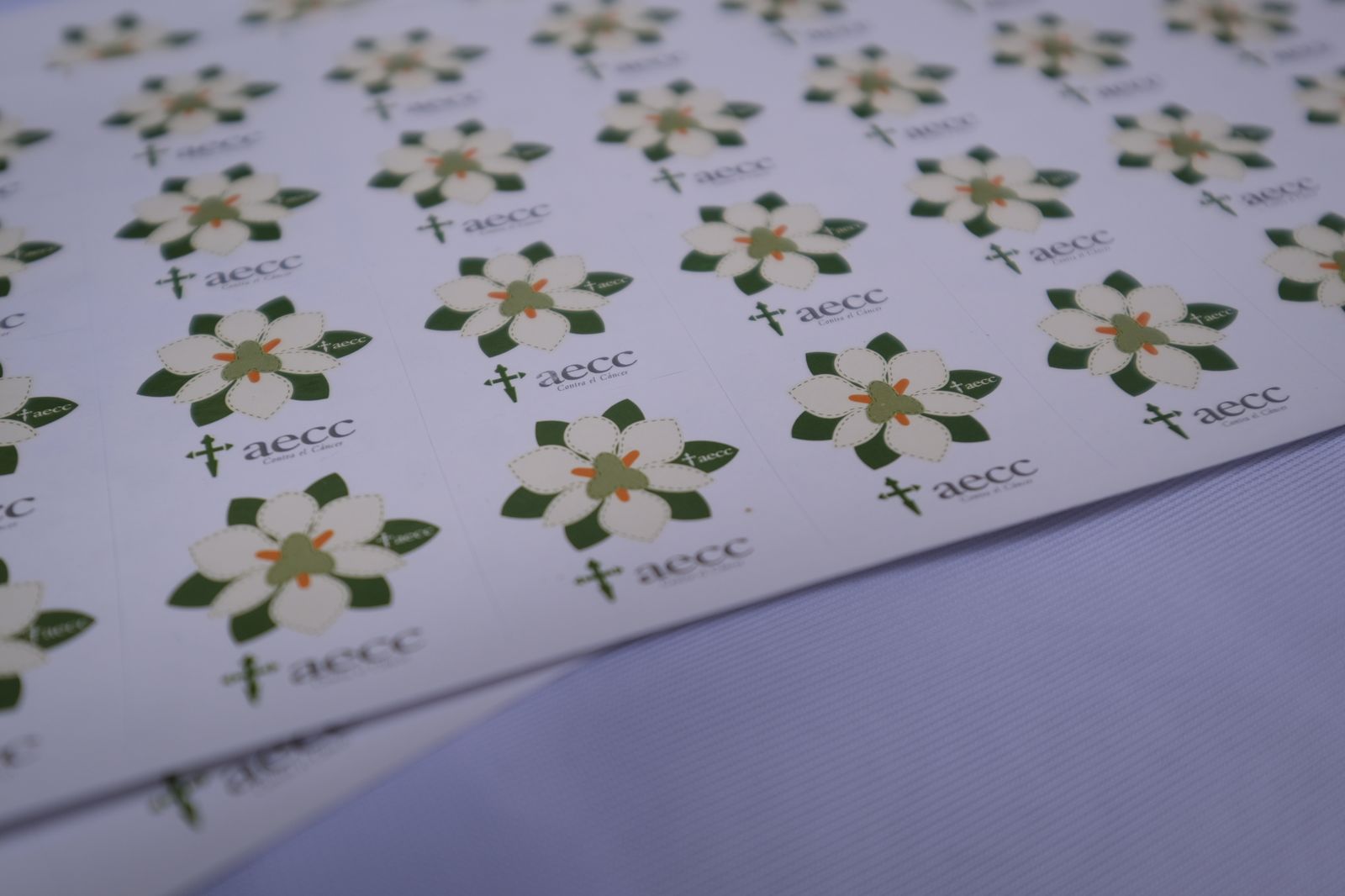 Cuestación de la AECC contra el cáncer en Almería