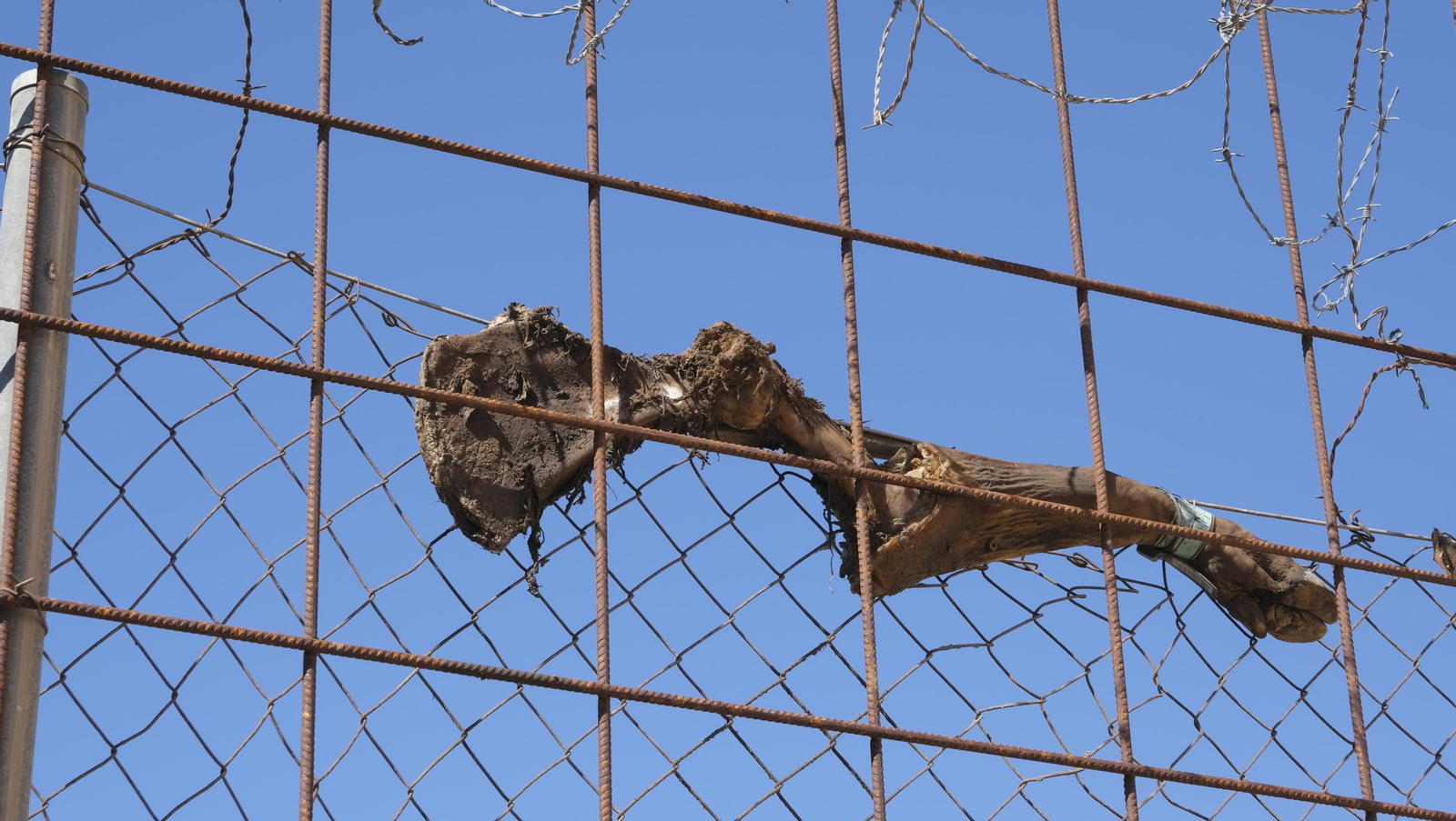 Protestas de los vecinos de los cortijos de La Cañada por la falta de iluminación