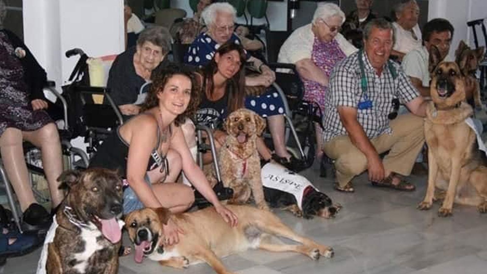 Leiva en una visita de Asispe con perros a la residencia de San José. Leiva en una visita de Asispe con perros a la residencia de San José.