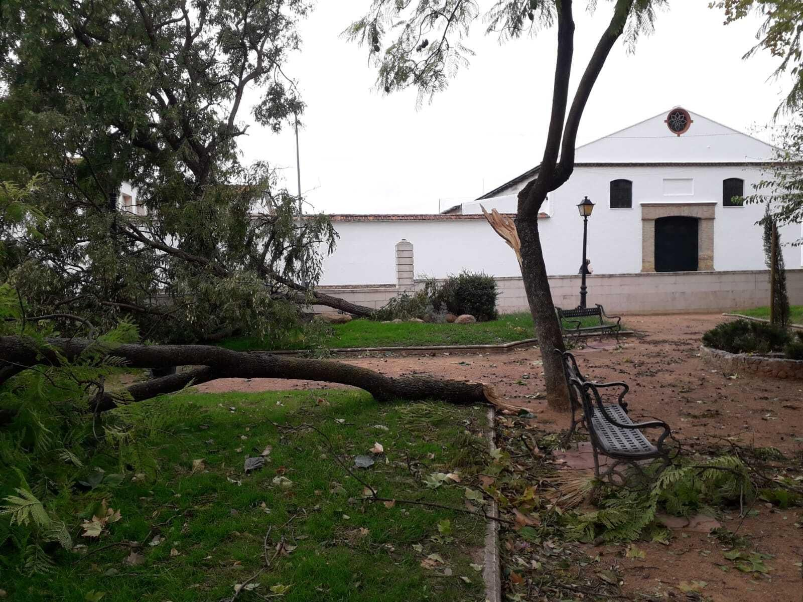 MONTILLA Las imágenes del paso de la borrasca Bernard por los pueblos de la provincia de Córdoba