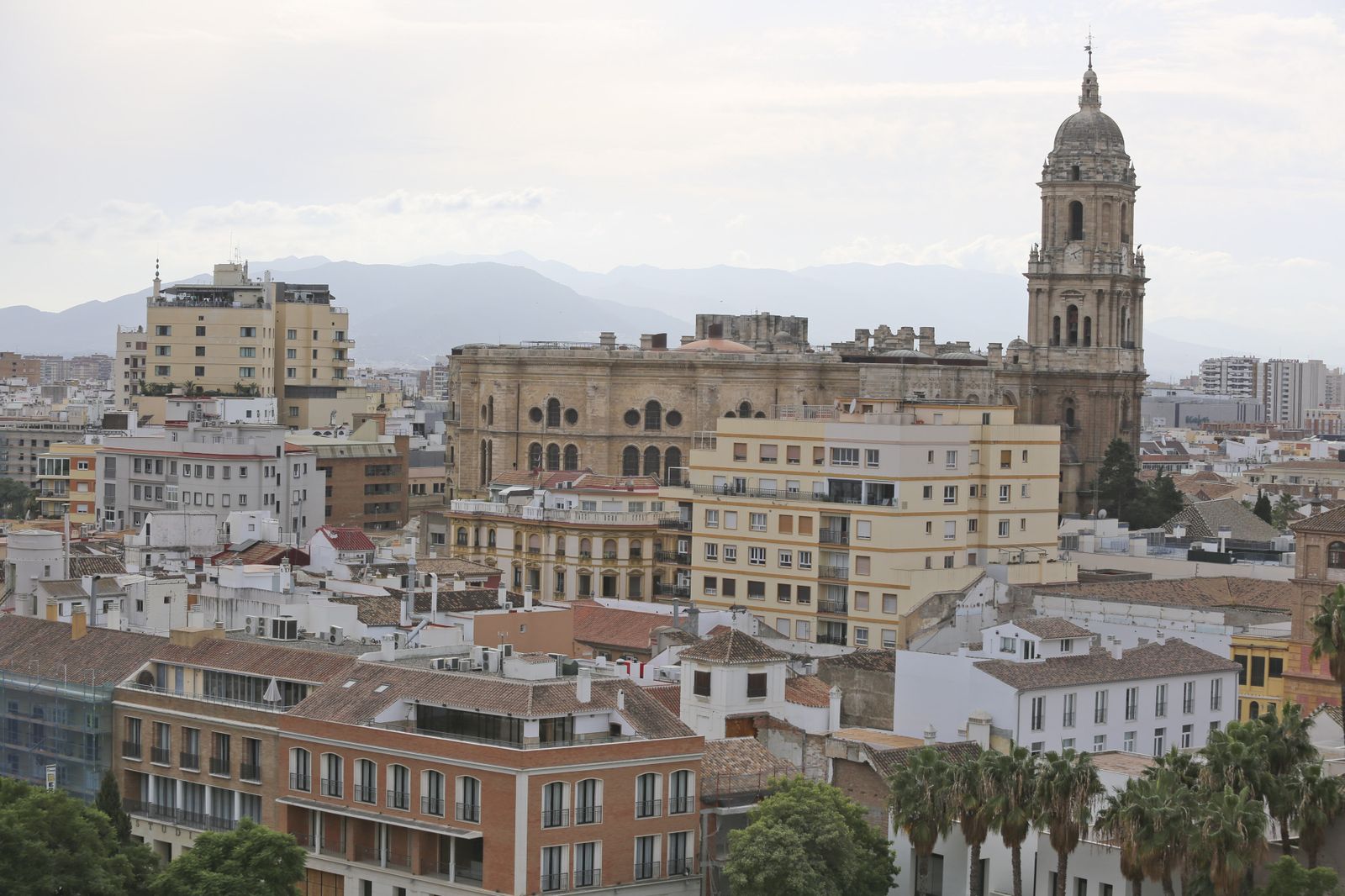 Panorámica del centro de Málaga, con la Catedral al fondo.