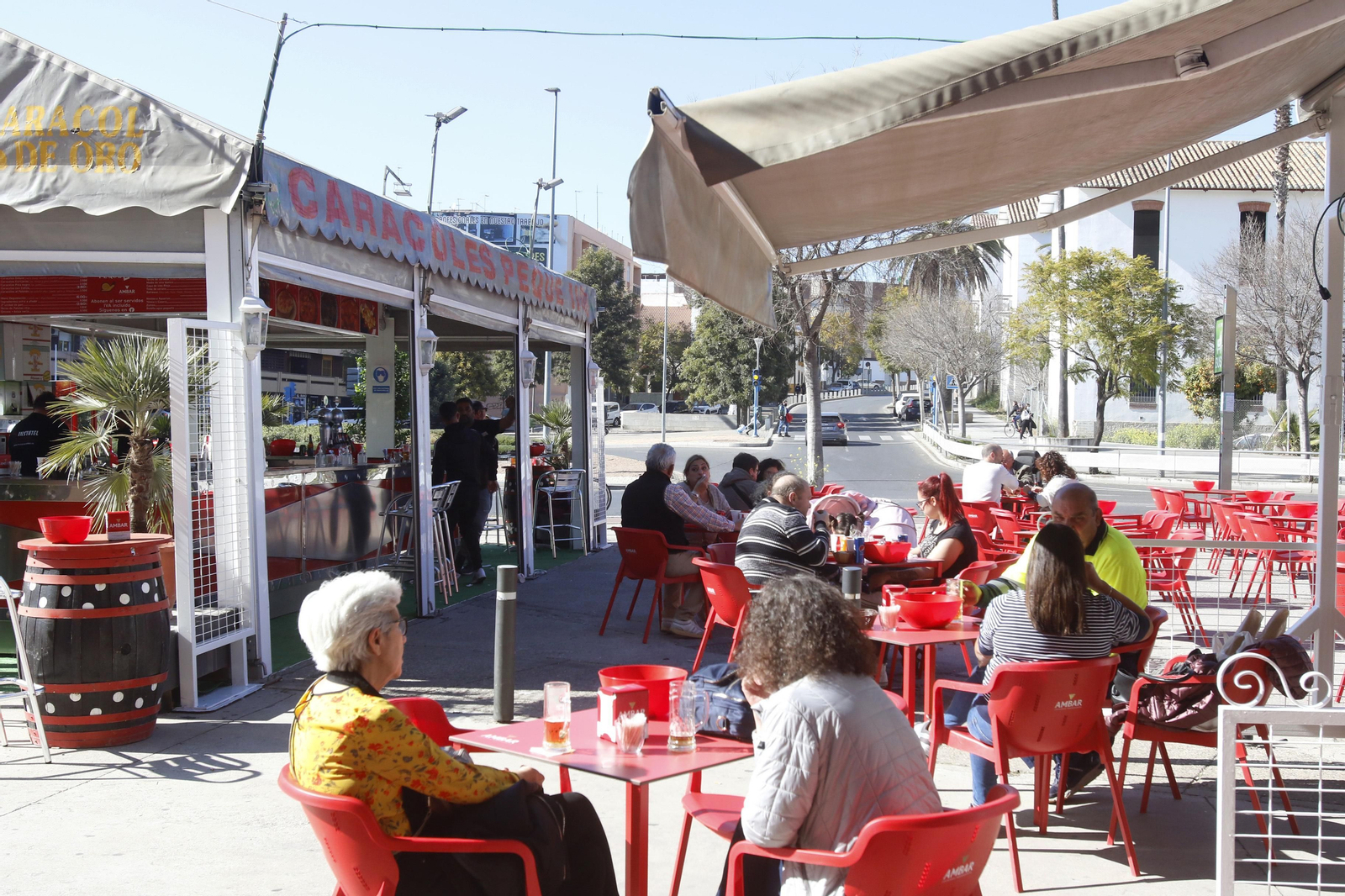 El comienzo de la temporada de caracoles 2022, en imágenes