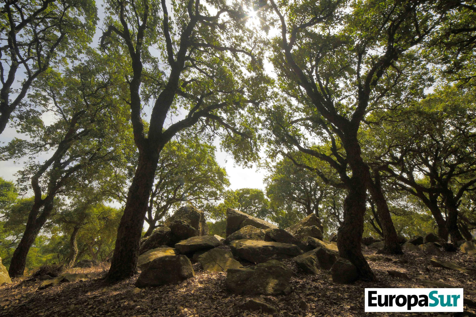 Fotografías de 'El último bosque', por David Coronado