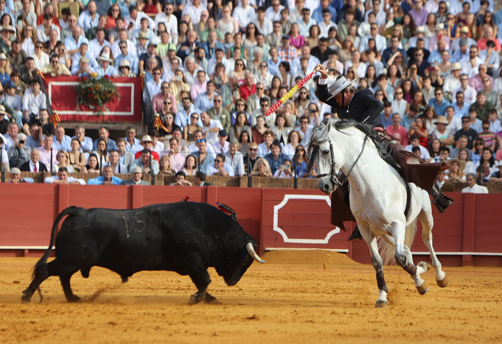 Fotos del Festival taurino a beneficio de l de la Hermandad del Rocío de Triana y de la Fundación Alalá