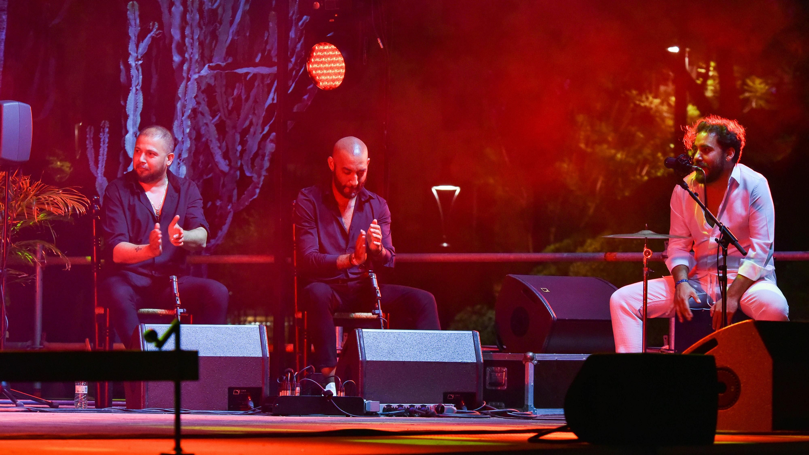 Fotos del concierto de Diego del Morao en el IX Encuentro Internacional de guitarra Paco de Lucía