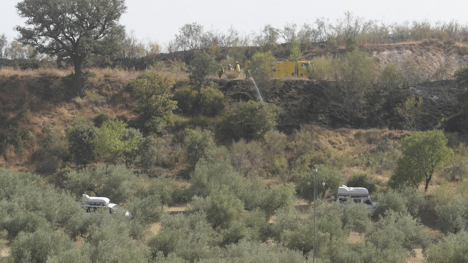 Medios terrestres de Infoca trabajan en la extinción de un incendio forestal en Jun