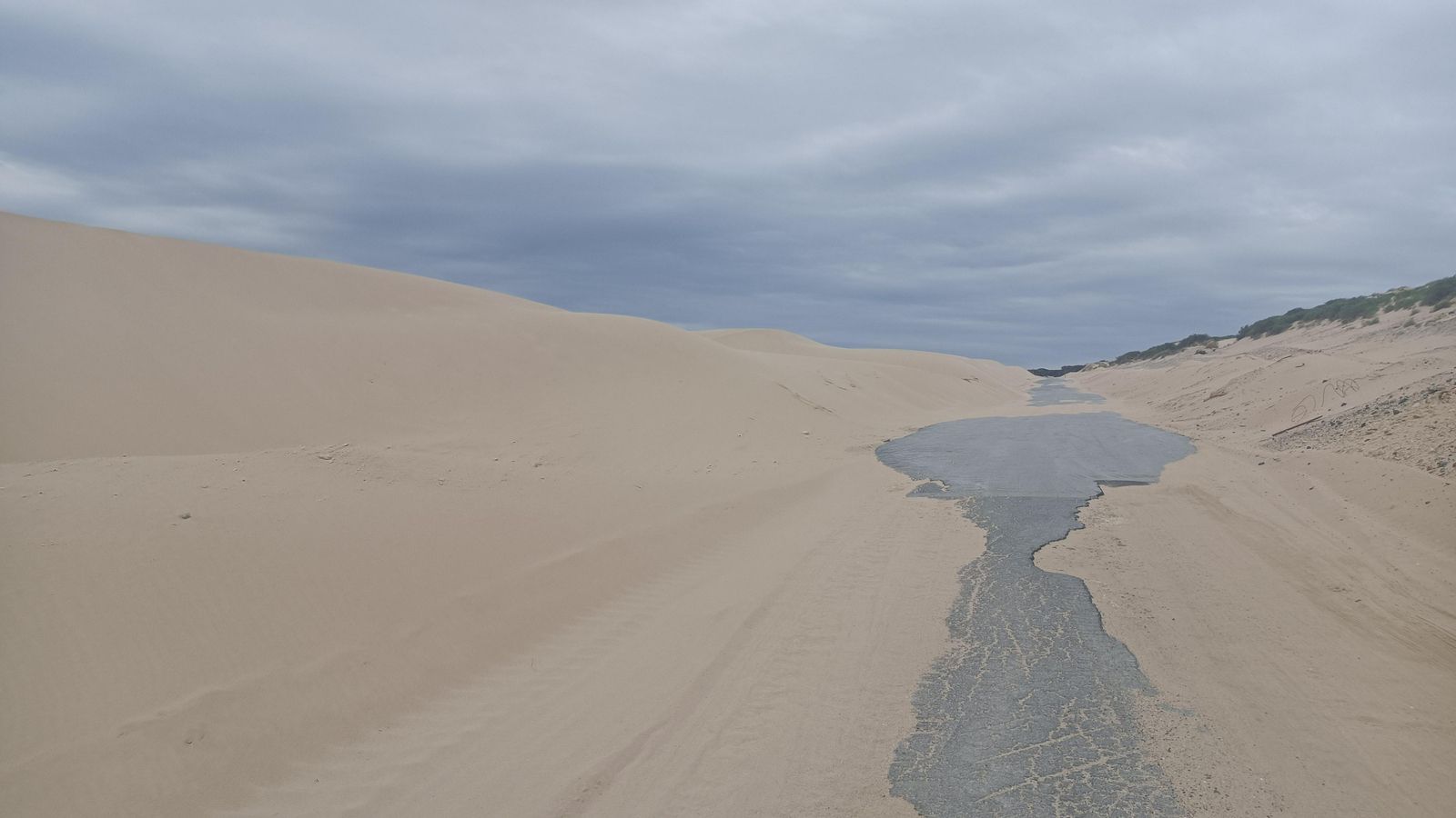 La carretera que sube por la duna de Valdevaqueros.