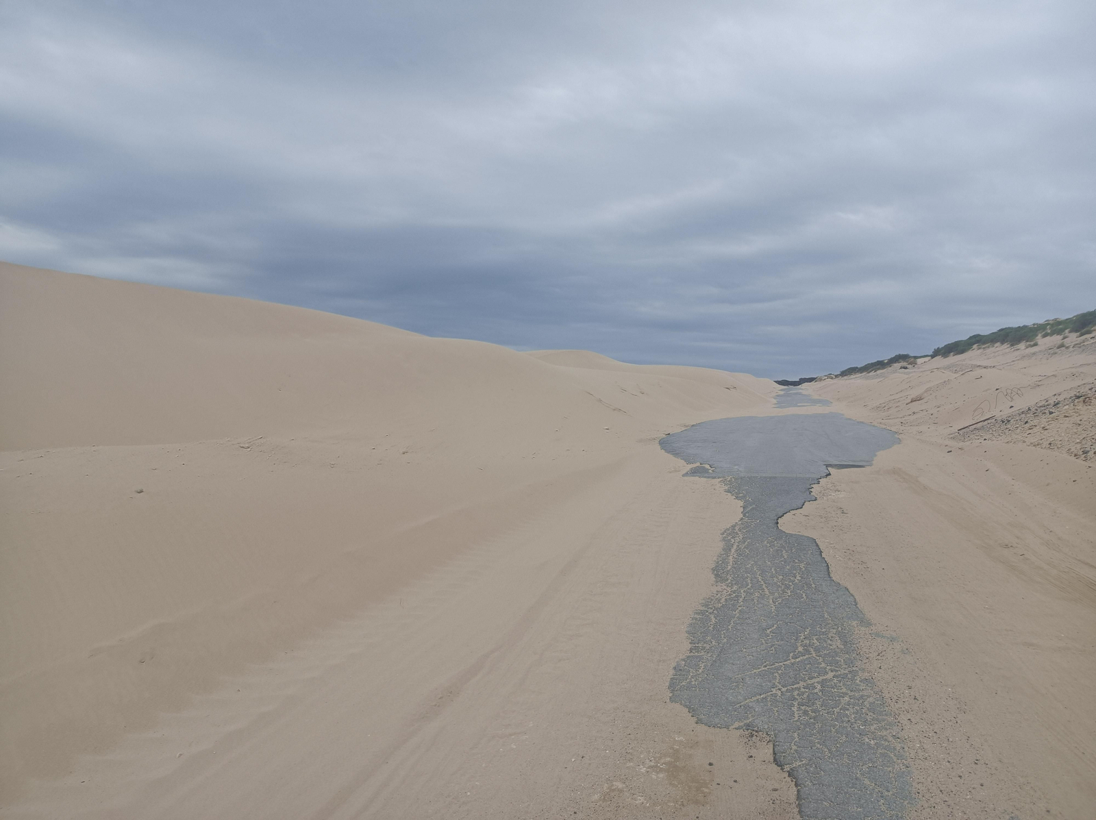 La carretera que sube por la duna de Valdevaqueros.