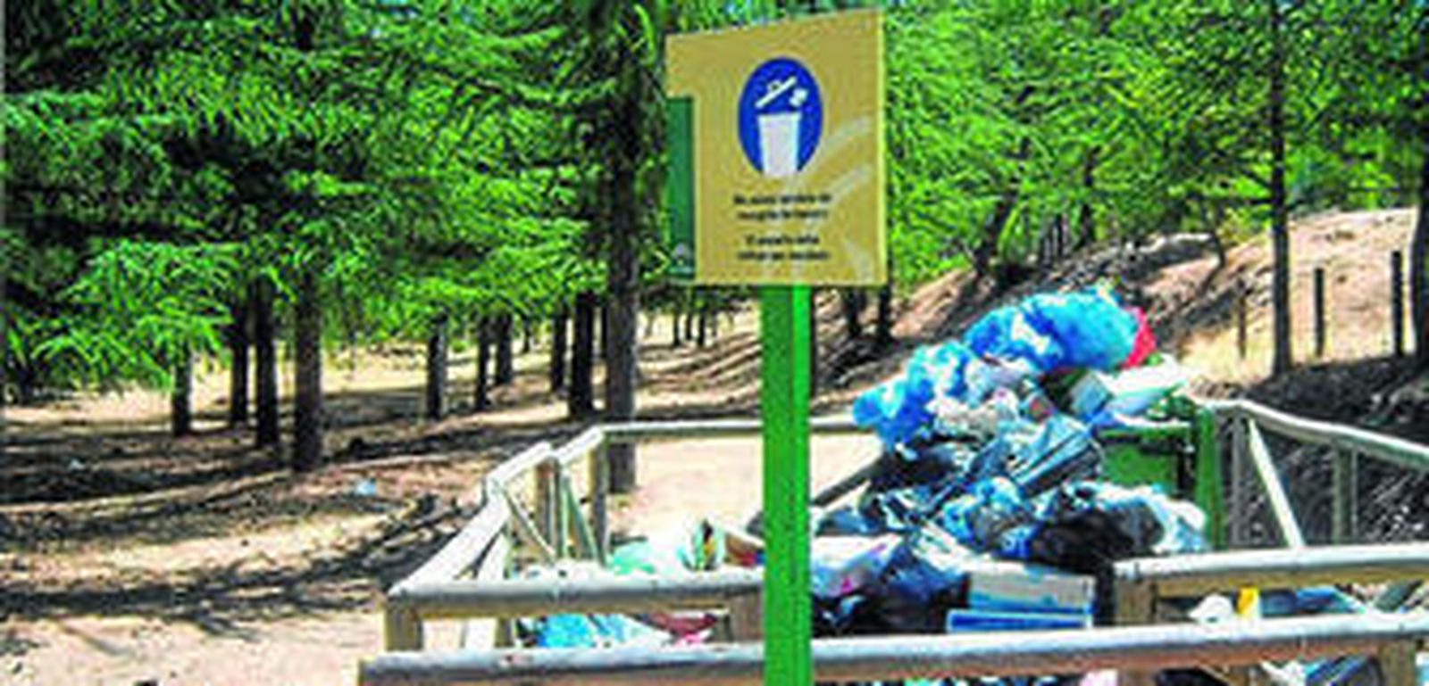 El área de acampada 'Florencia' en la Sierra de Huétor.