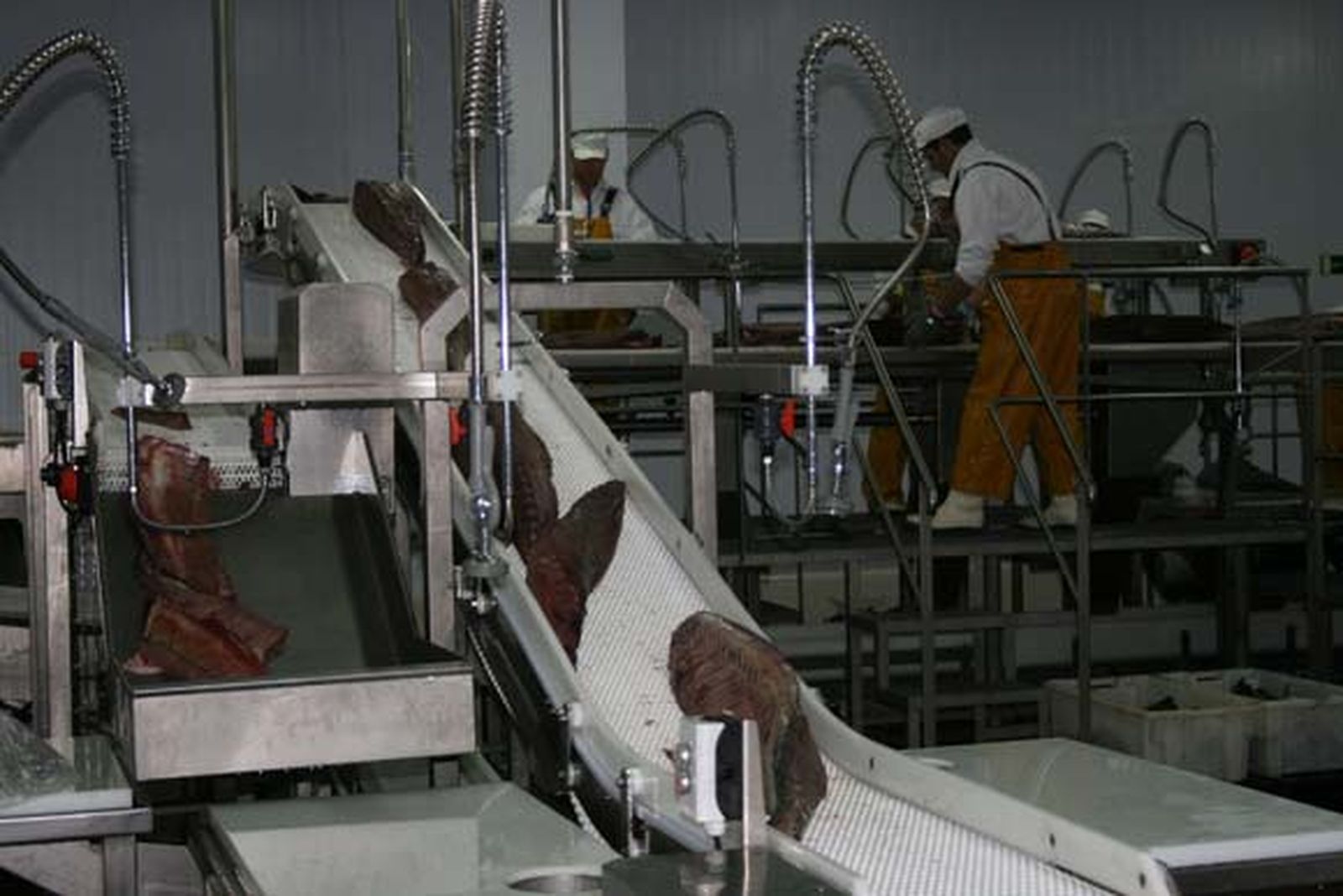 Clara Aguilera inaugura la nueva fábrica de salazones y conservas Herpac, en Barbate

Foto: Manuel Aragon Pina