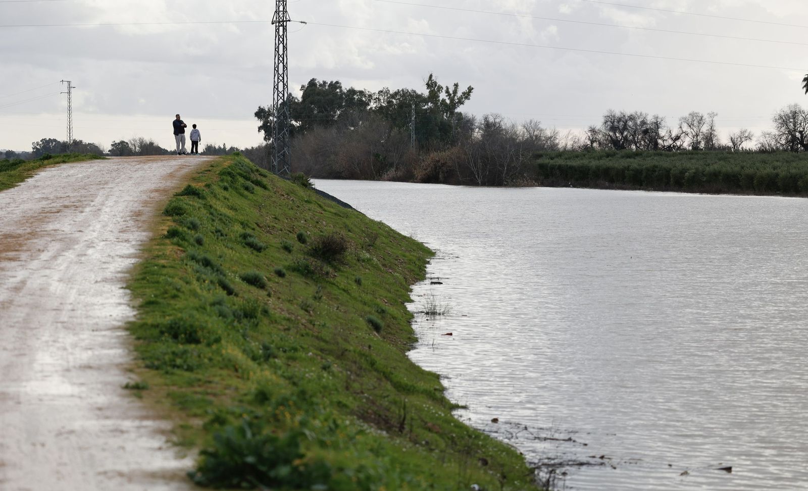 Las fotos de la crecida del río Guadalquivir en Lora del Río por la borrasca Leonardo