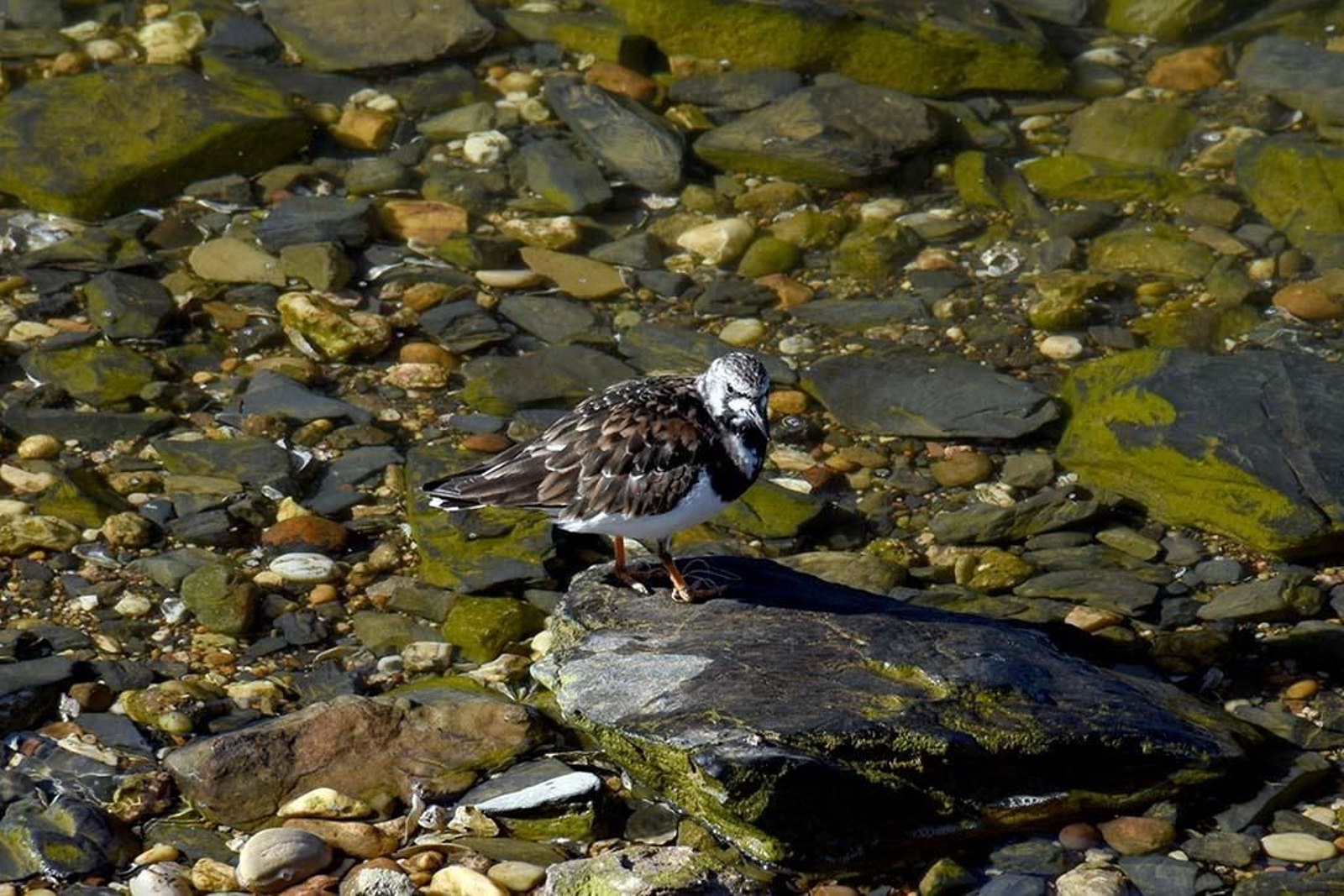 Imágenes del jueves 2 de mayo en Huelva