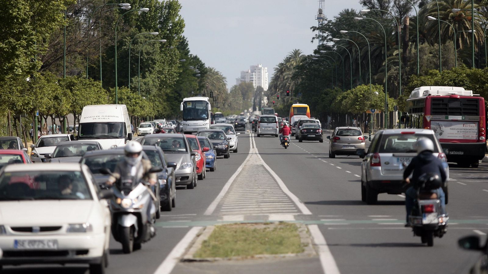 Avenida de la Palmera, una arteria del distrito Bellavista-La Palmera