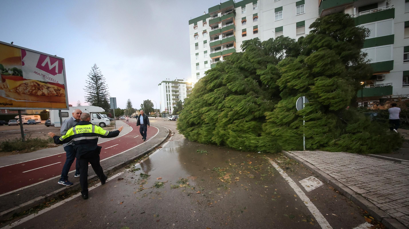 Caos en Jerez por los destrozos del temporal de viento