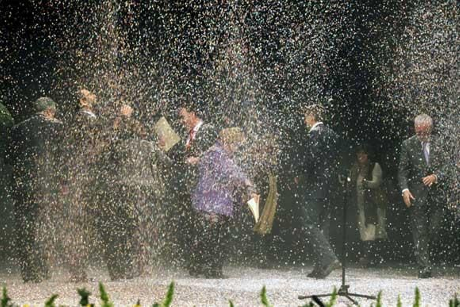 Enrique Carrillo de Albornoz da lectura al veredicto del Jurado Oficial sobre el escenario del Gran Teatro Falla y con el público presente en el patio de butacas

Foto: Julio Gonzalez-Jesus Marin-Lourdes de Vicente