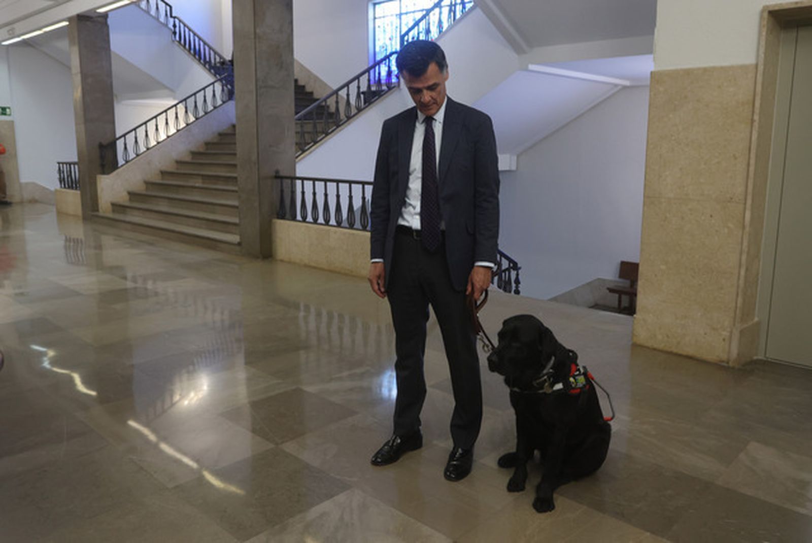 El primer juez que acude a su tribunal con un perro guía