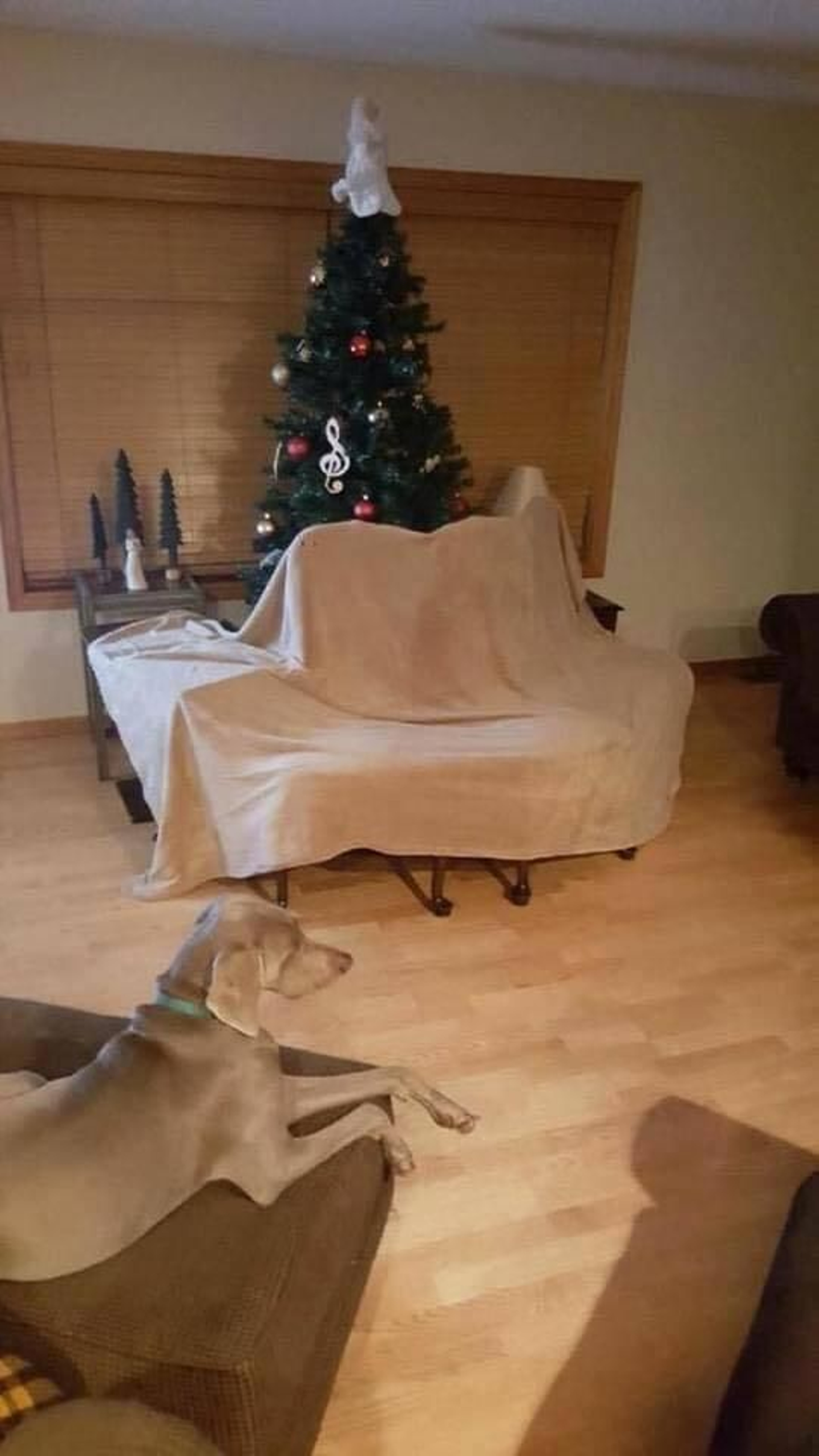 el árbol amurallado