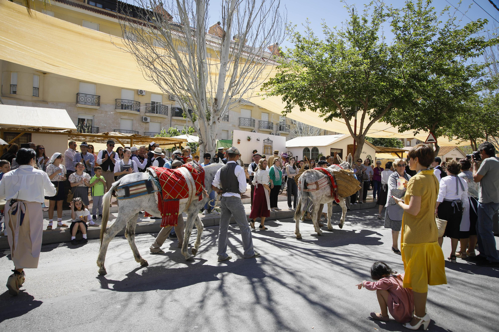 VI Recreación Histórica "Canteros y Caciques en la lucha por el Mármol", en imágenes