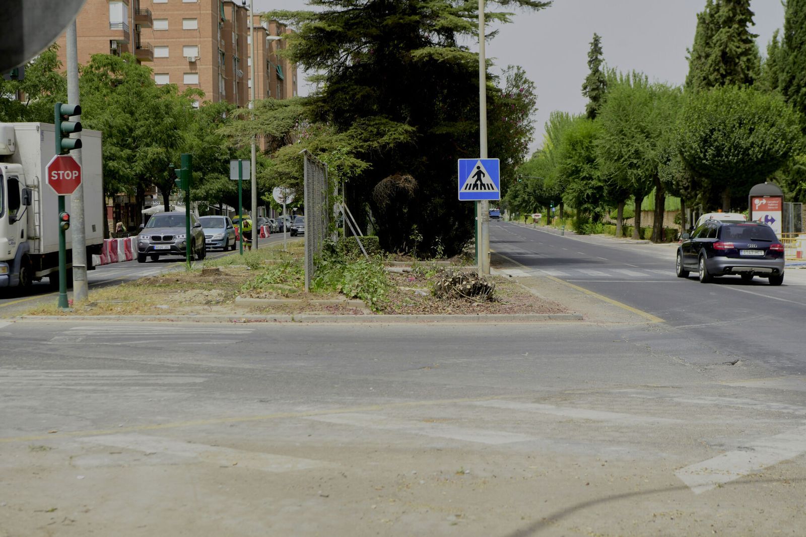 Árboles cortados en las obras de la avenida de Andalucía
