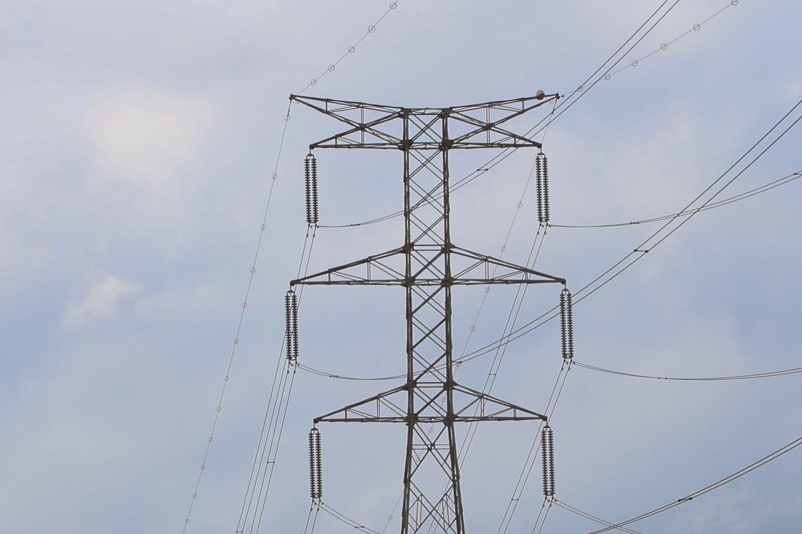 Tendido eléctrico en el Campo de Gibraltar