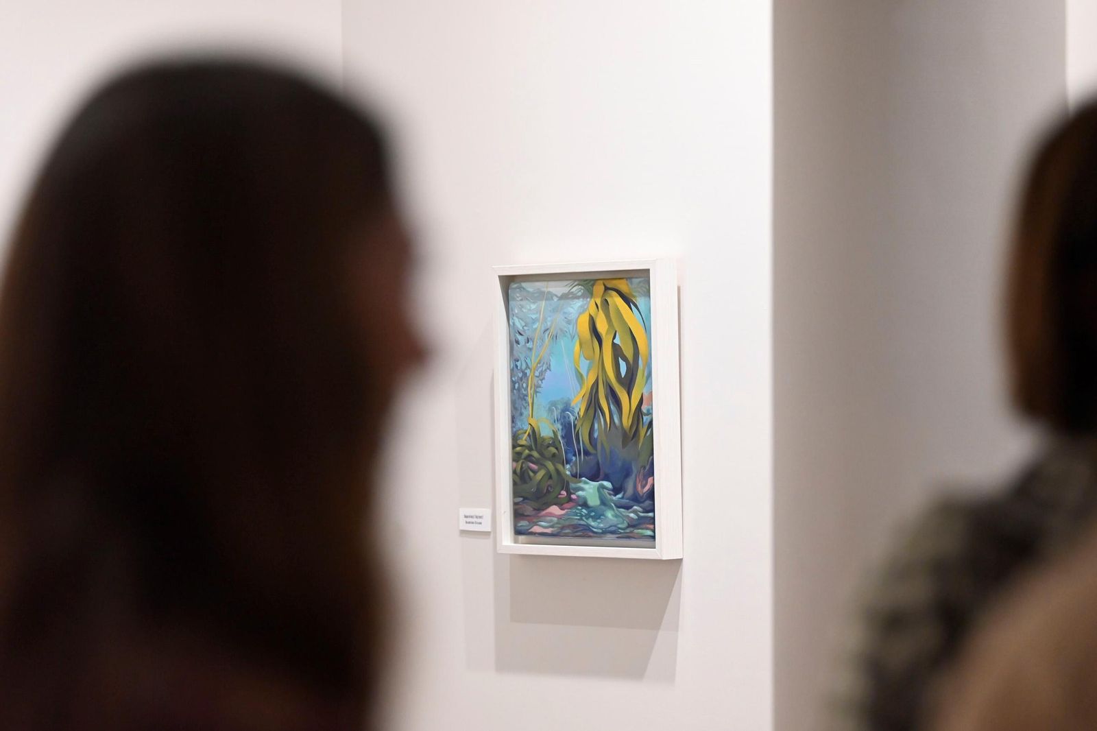 En fotos, la exposición que te llevará hasta el fondo del mar sin moverte de Córdoba