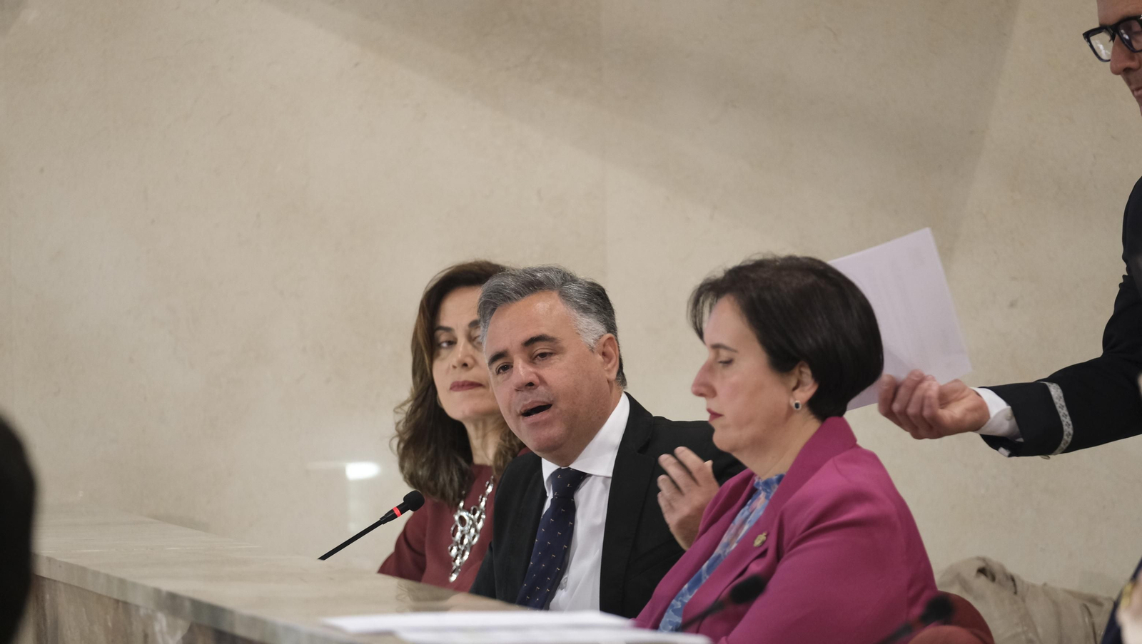 Imágenes del pleno ordinario del Ayuntamiento de Almería