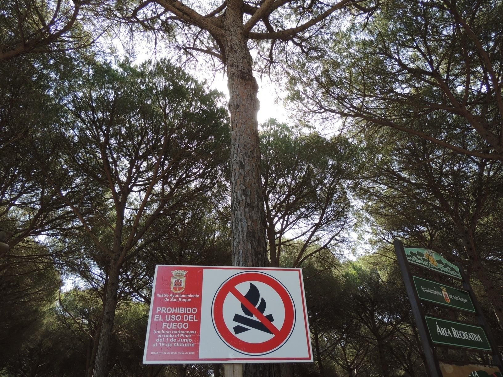 Un cartel que prohíbe que se hagan fuegos en el Pinar del Rey.