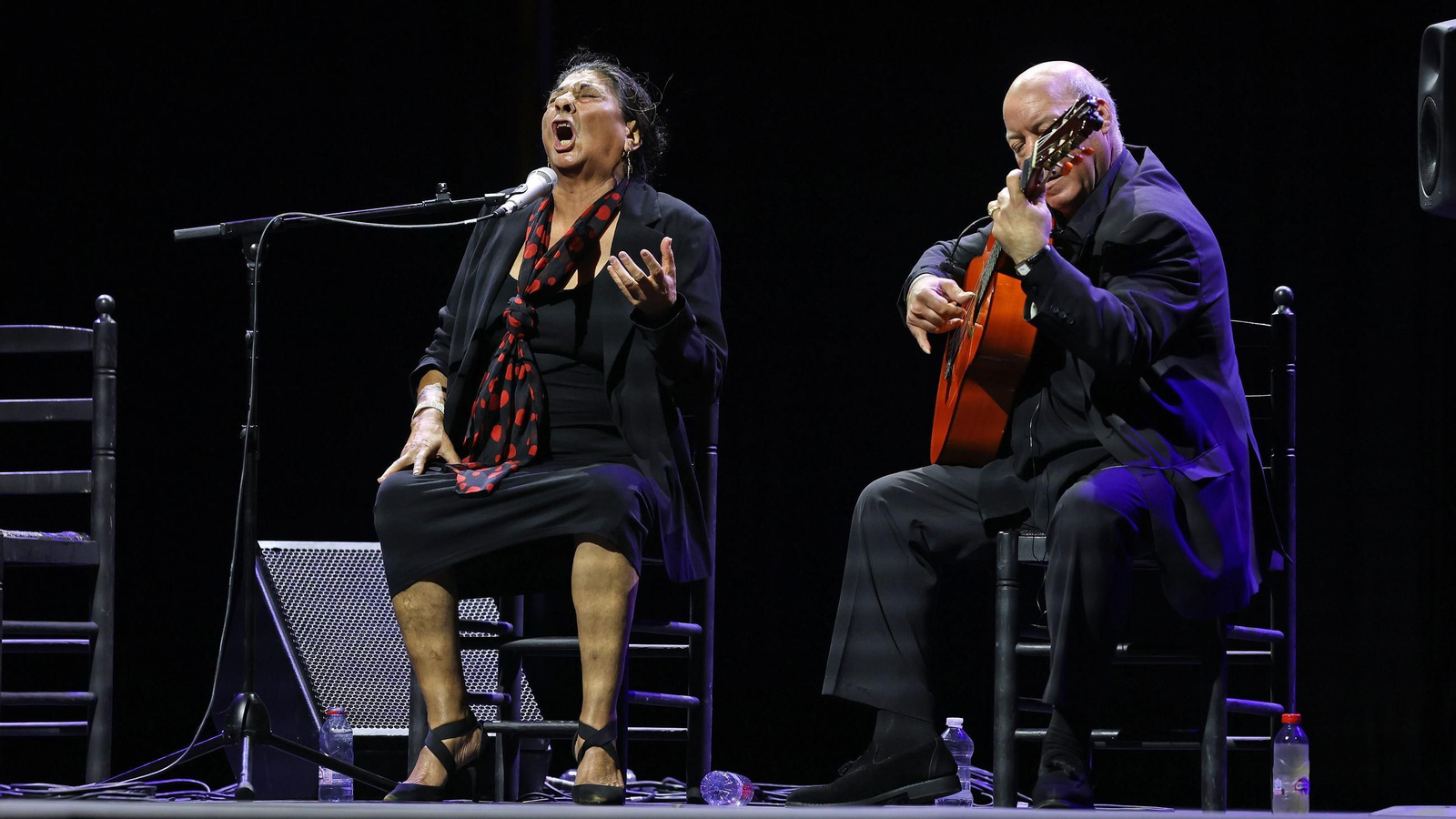 Imágenes de la 58 edición de la Fiesta de la Bulería en Jerez