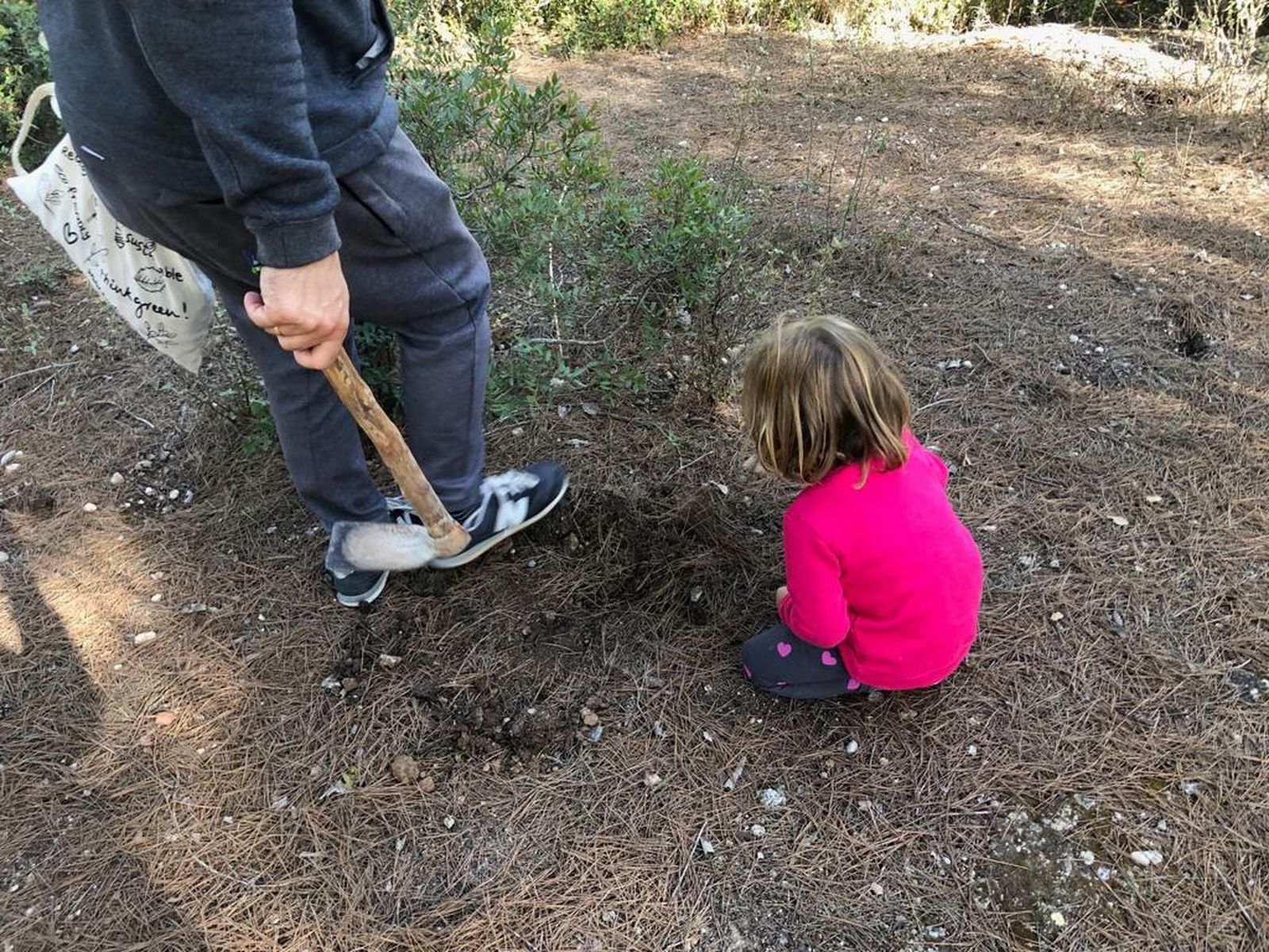 Preparación del terreno para la siembra de encinas en el parque de Las Aguilillas
