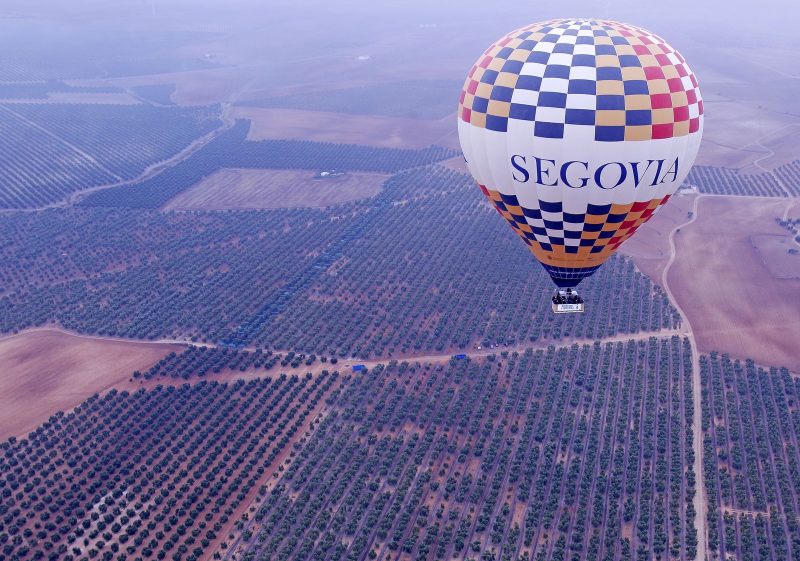 Reportaje sobre el aceite de oliva