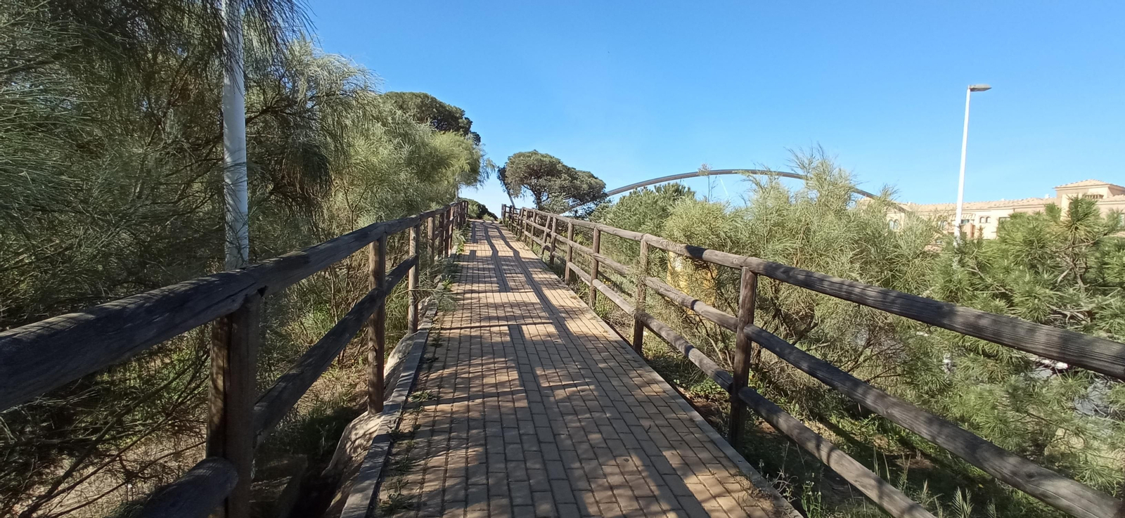 Las imágenes de la ruta de las salinas del Astur y los pinares de Punta Umbría