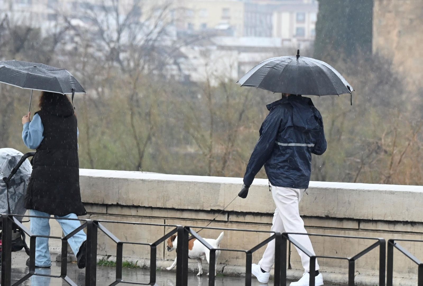 Las imágenes del Día de Andalucía pasado por agua en Córdoba