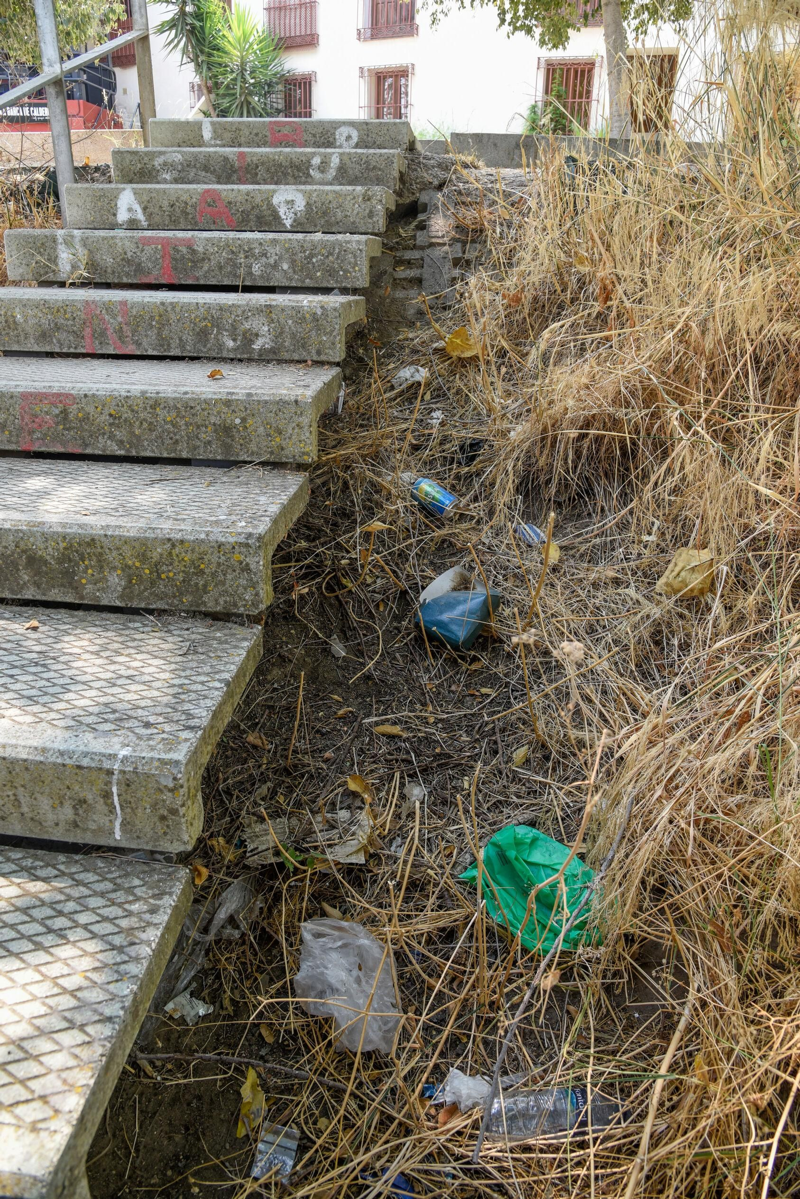 Más residuos en las márgenes de la dársena.