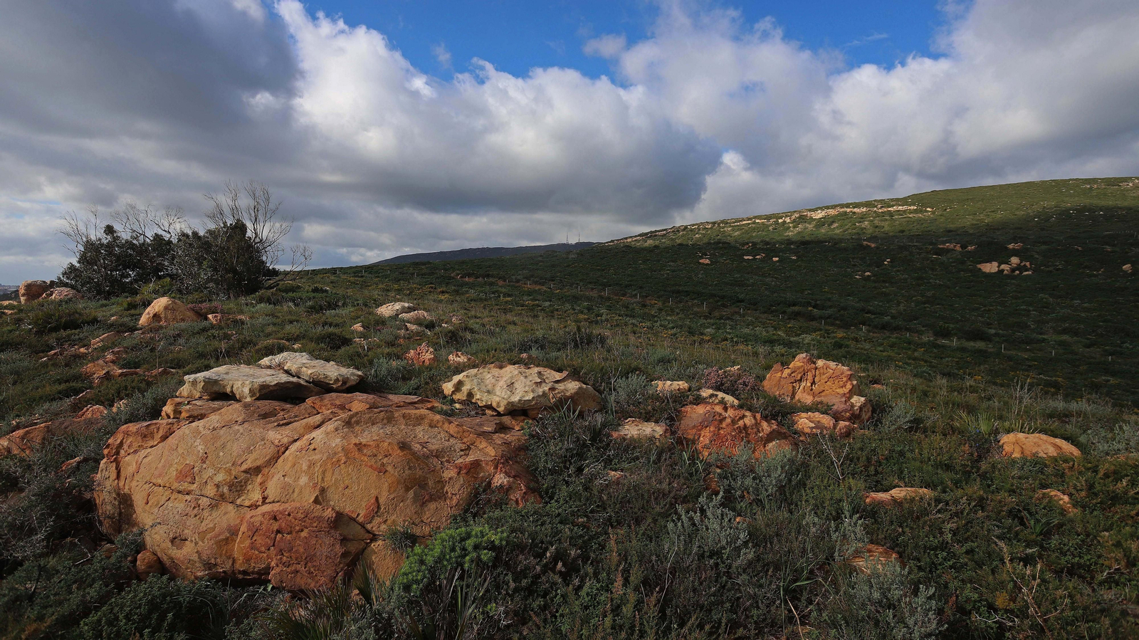 Espacio natural Portichuelos en La Línea