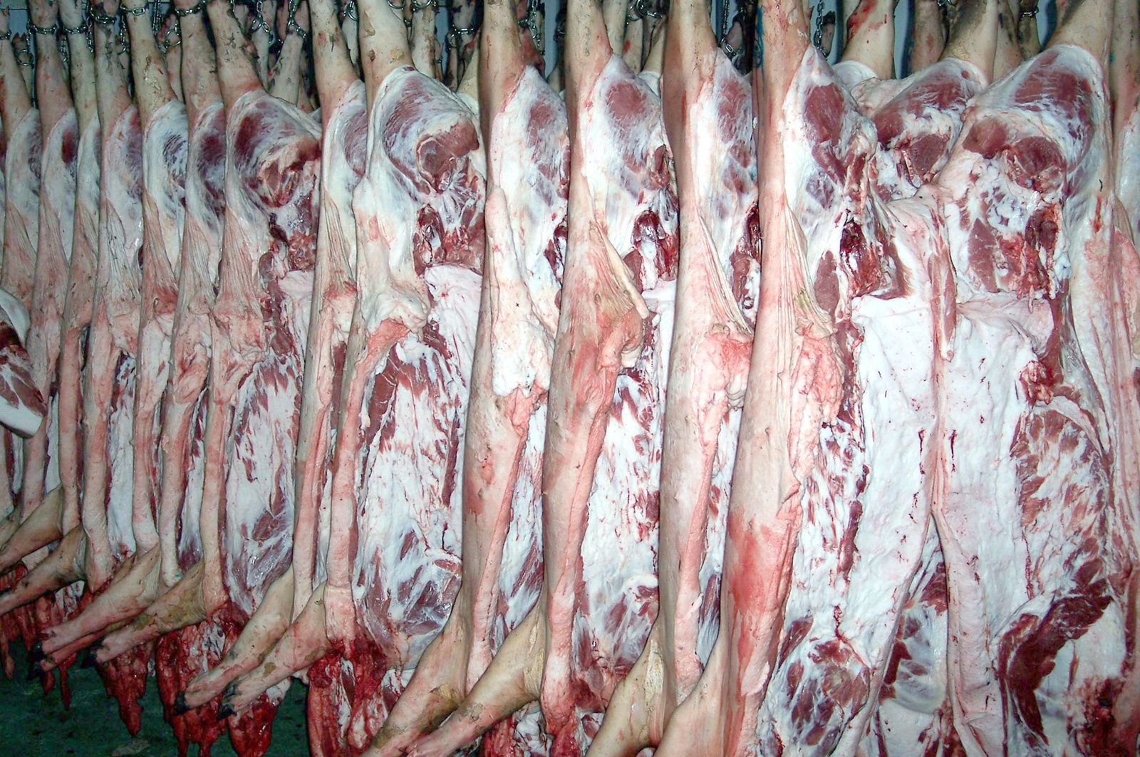 Las exportaciones en Almería suben crecen un 4,4%.